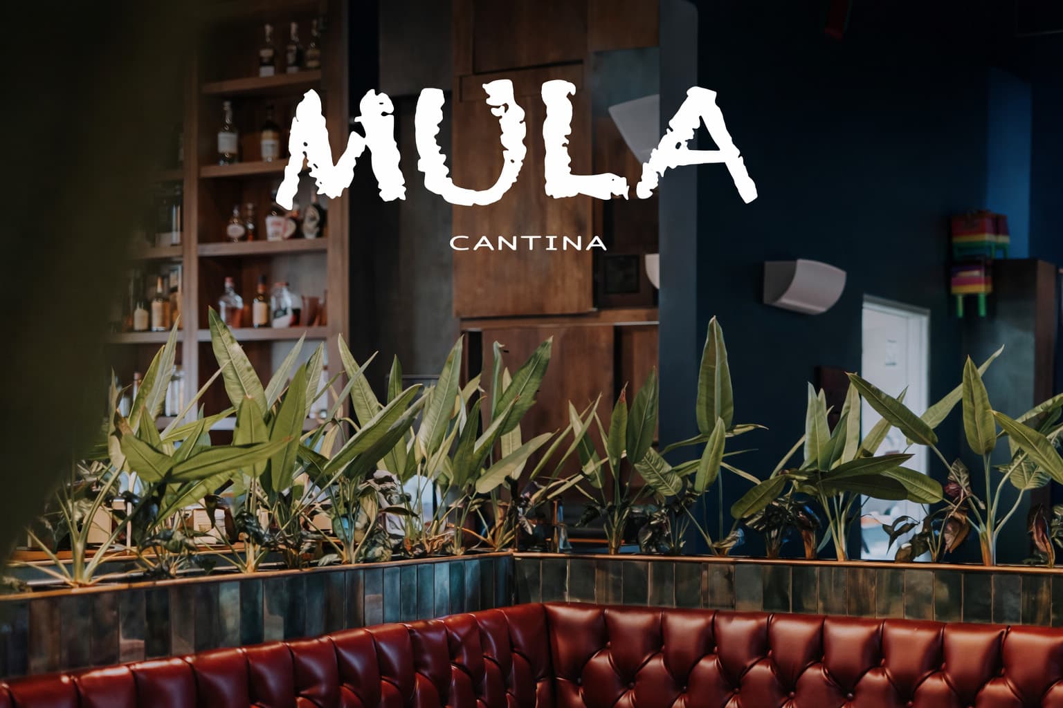 Mula Cantina